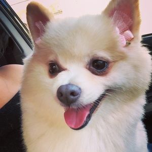 Meet your Posher, April